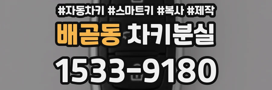 배곧동 차키분실