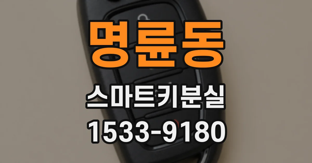 명륜동 스마트키분실