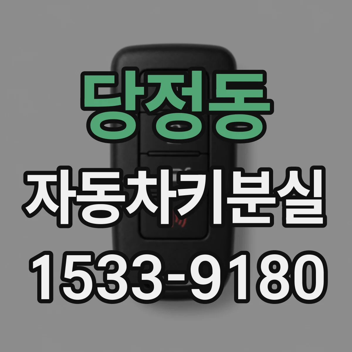 당정동 자동차키분실