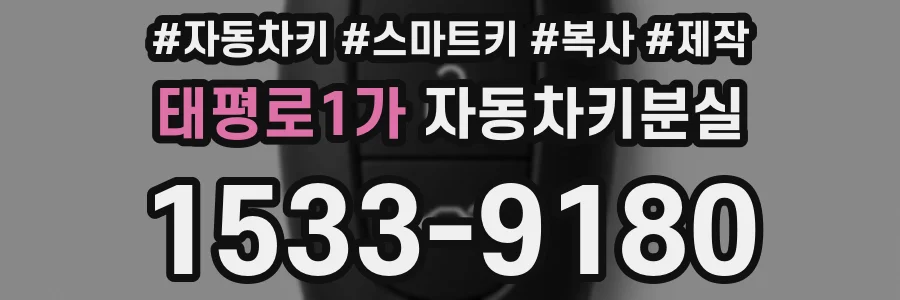 태평로1가 자동차키분실