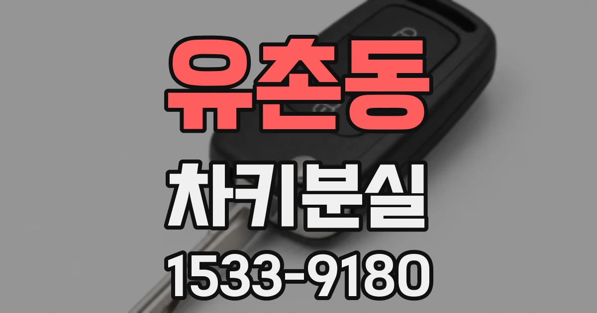 유촌동 차키분실