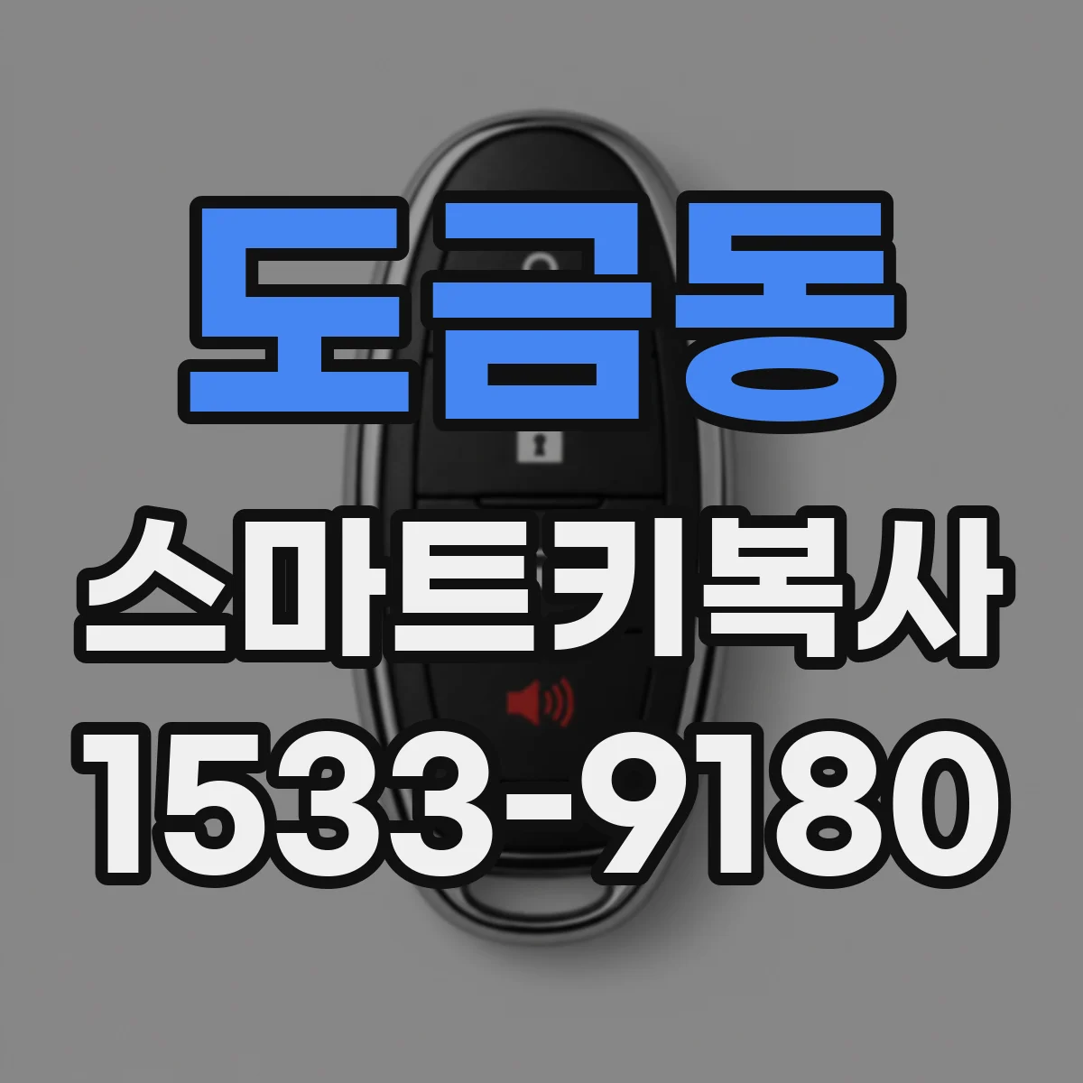 도금동 스마트키복사