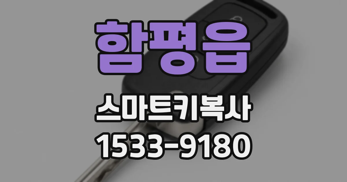 함평읍 스마트키복사