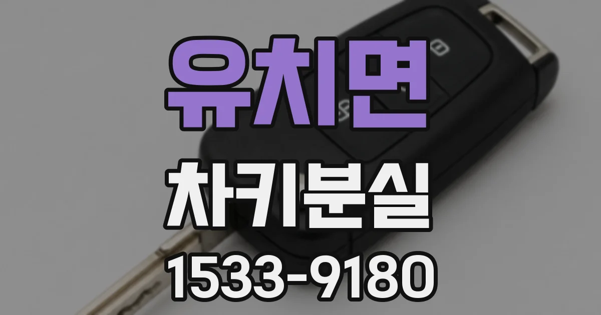 유치면 차키분실