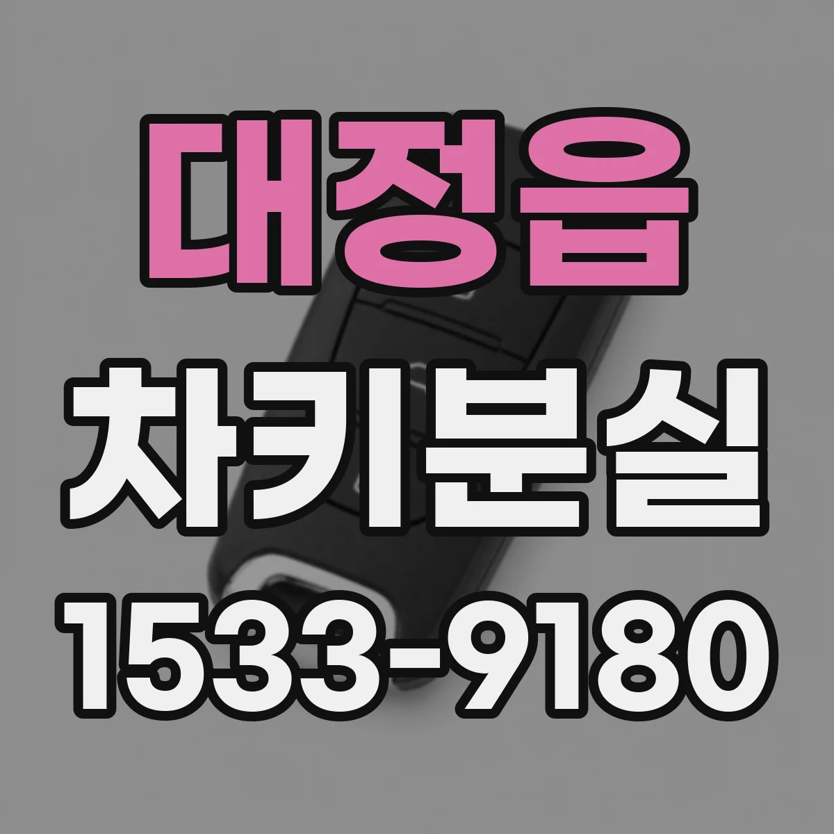 대정읍 차키분실