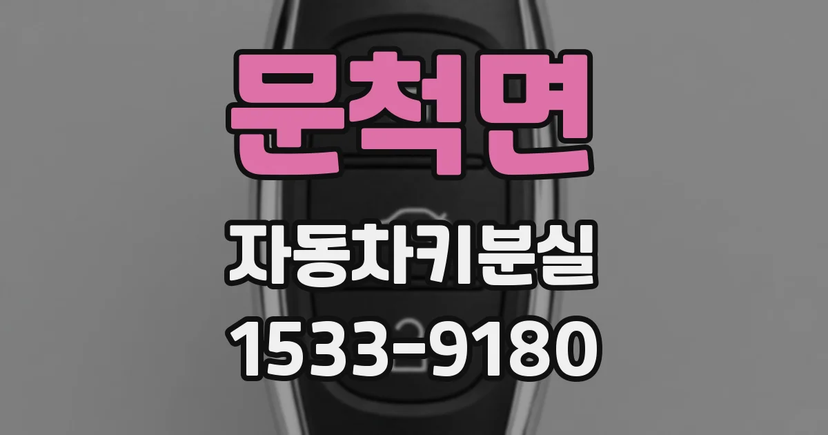 문척면 자동차키분실