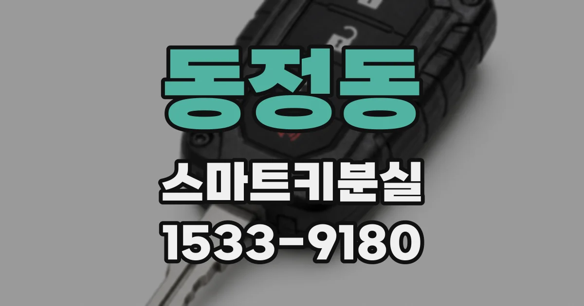 동정동 스마트키분실
