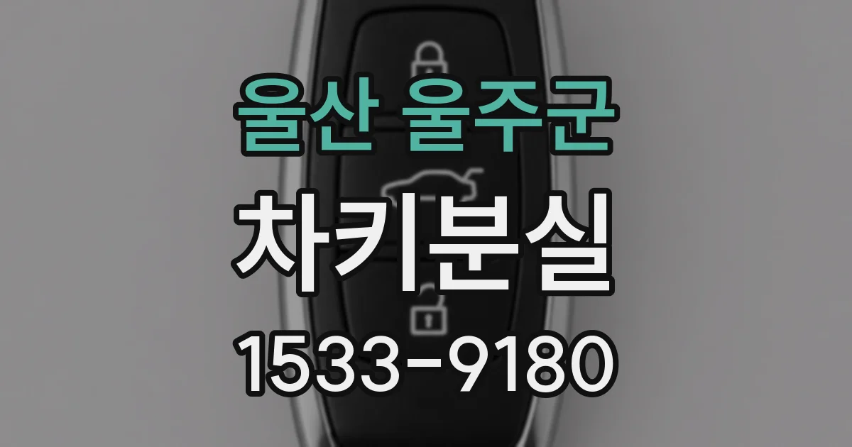 울산 울주군 차키분실