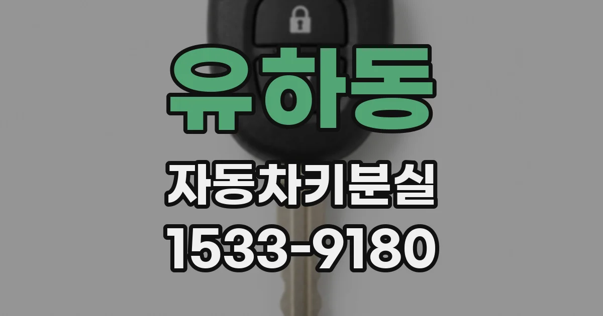 유하동 자동차키분실