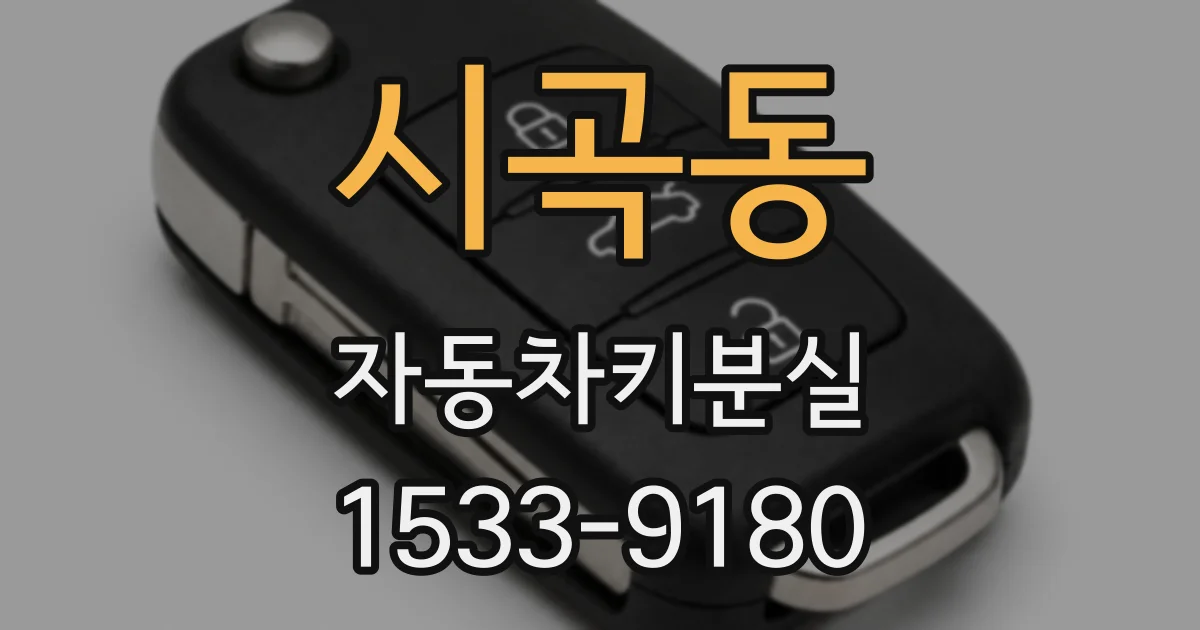 시곡동 자동차키분실
