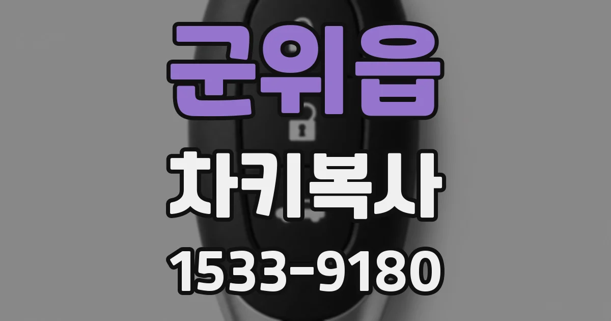 군위읍 차키복사