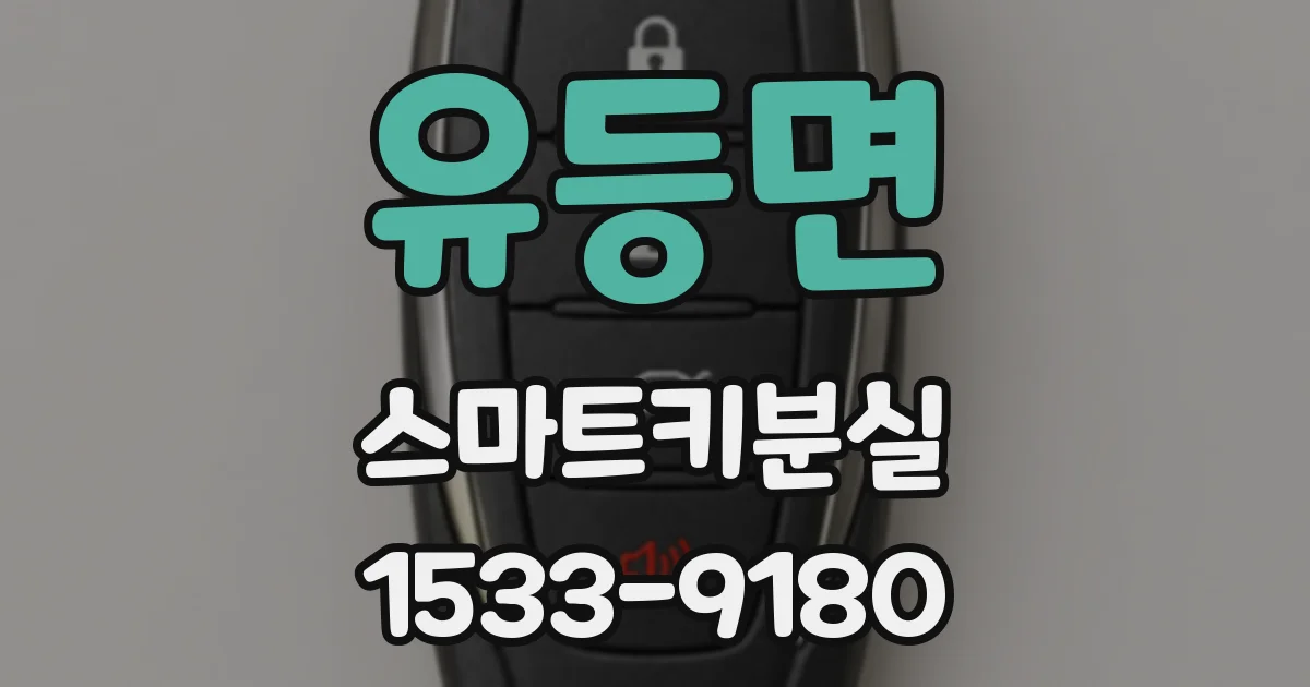 유등면 스마트키분실