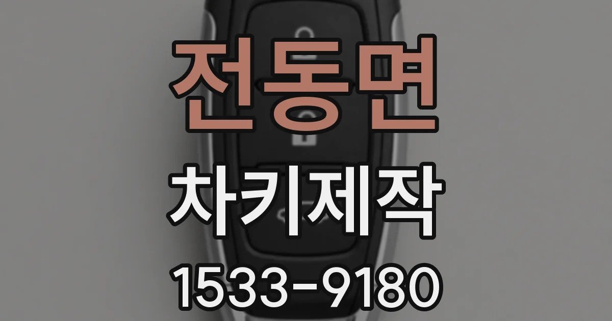 전동면 차키제작