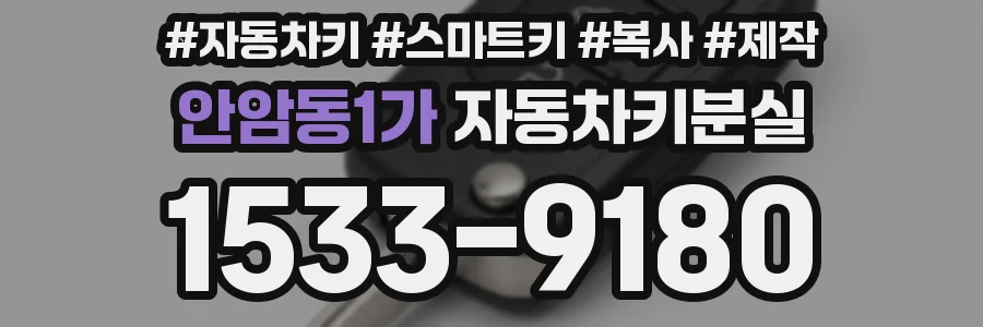 안암동1가 자동차키분실