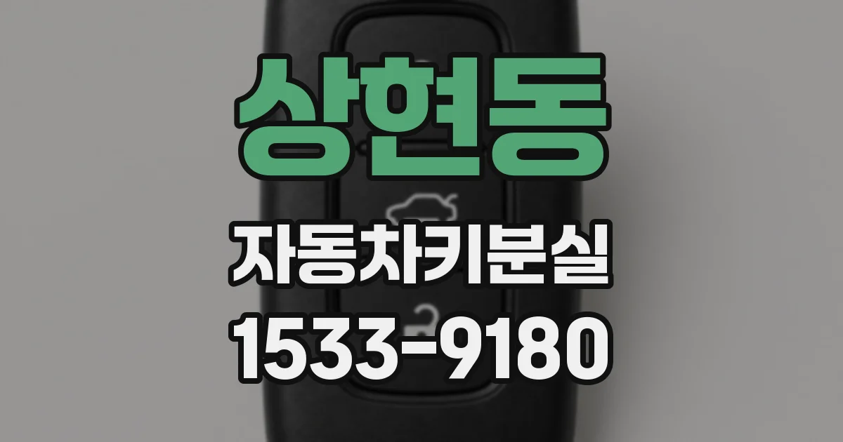 상현동 자동차키분실