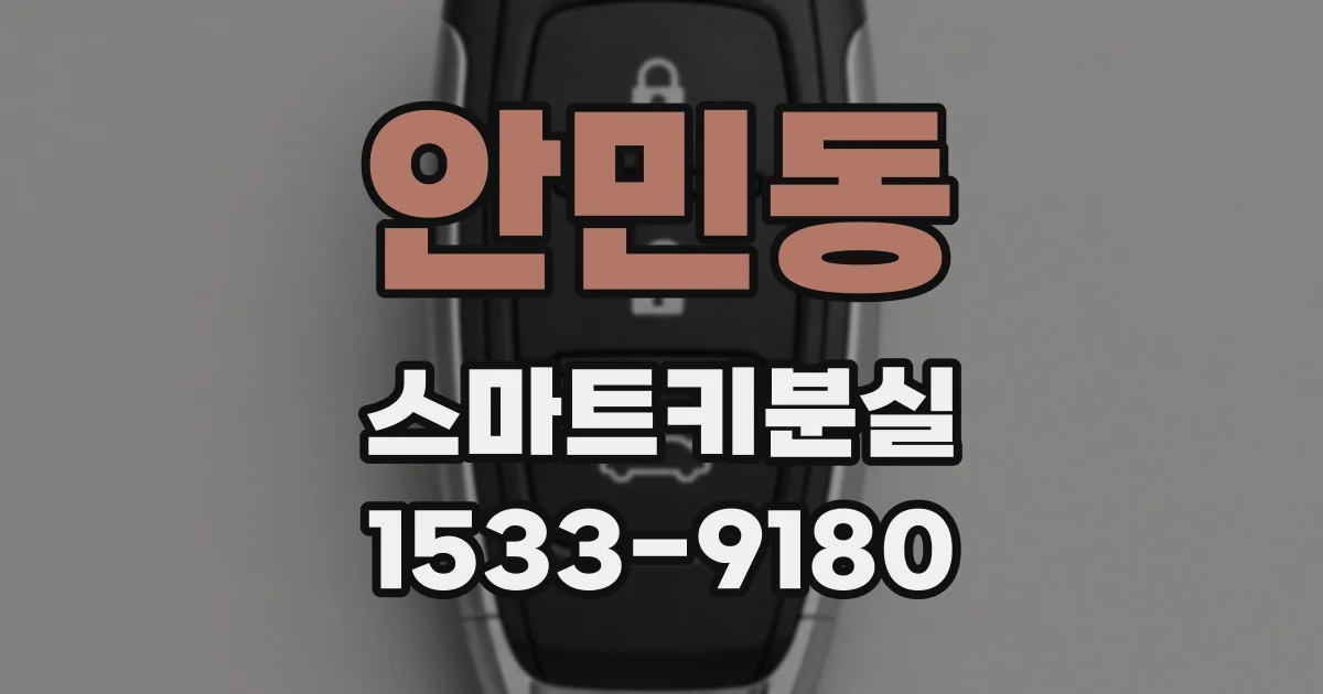 안민동 스마트키분실