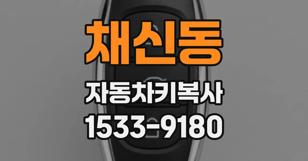채신동 자동차키복사