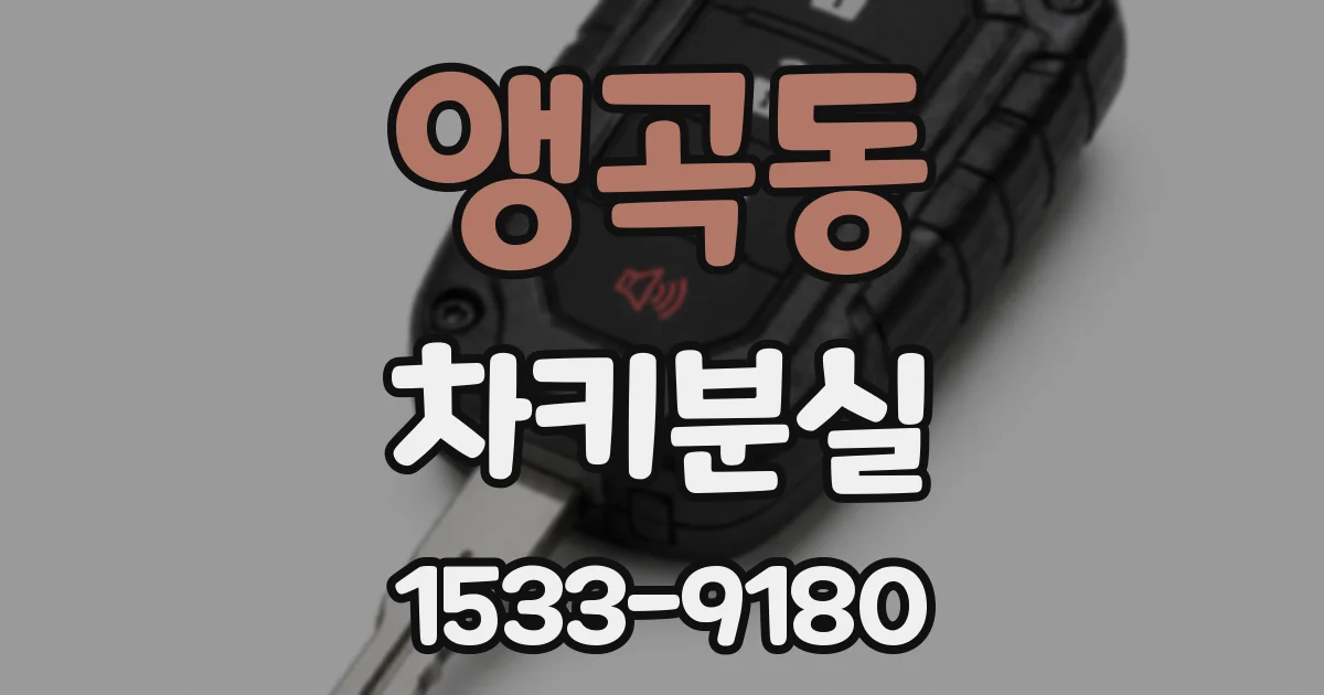 앵곡동 차키분실