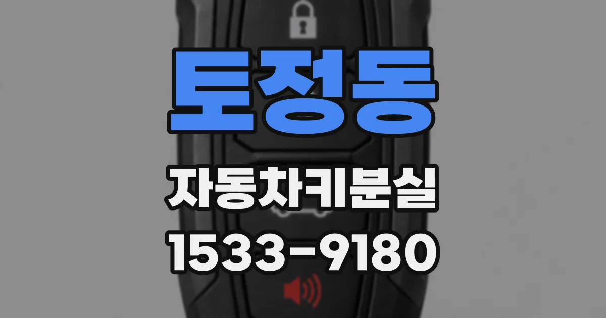 토정동 자동차키분실