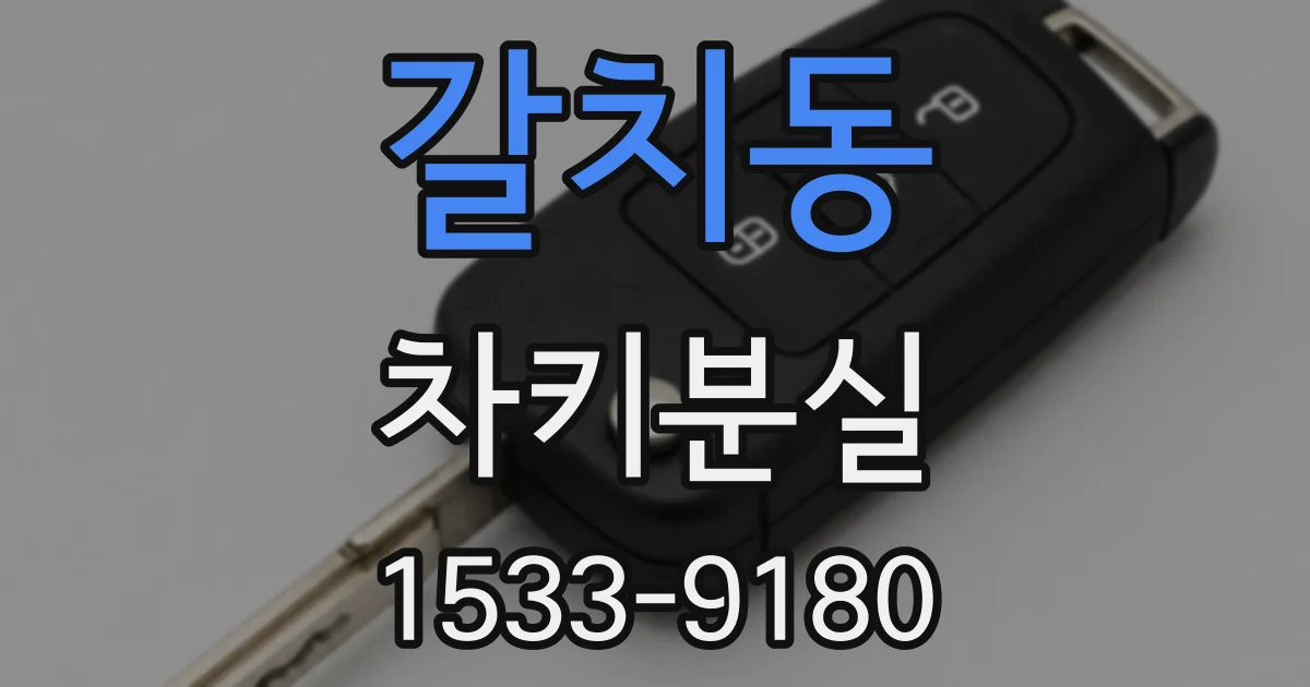 갈치동 차키분실