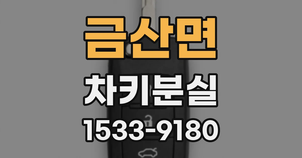 금산면 차키분실