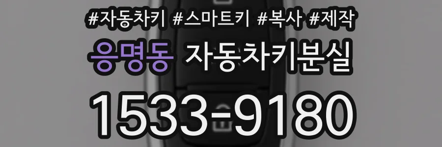 응명동 자동차키분실