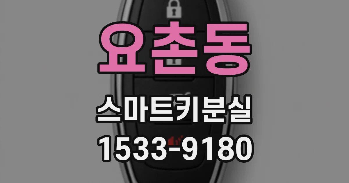 요촌동 스마트키분실