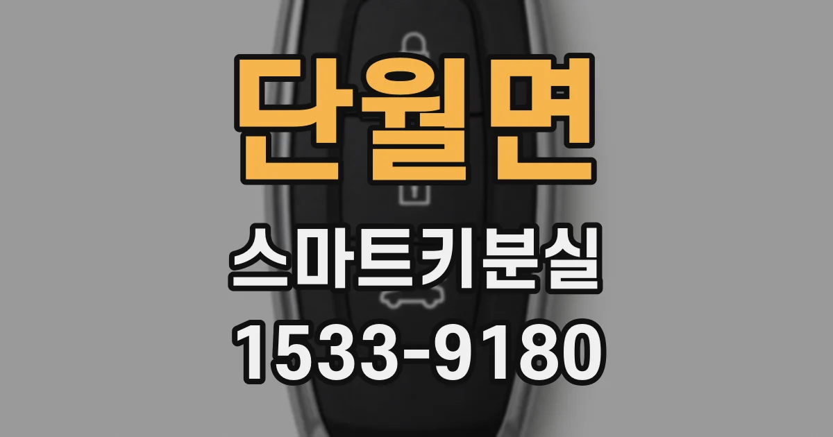 단월면 스마트키분실