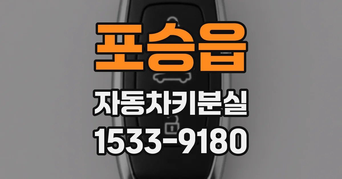 포승읍 자동차키분실