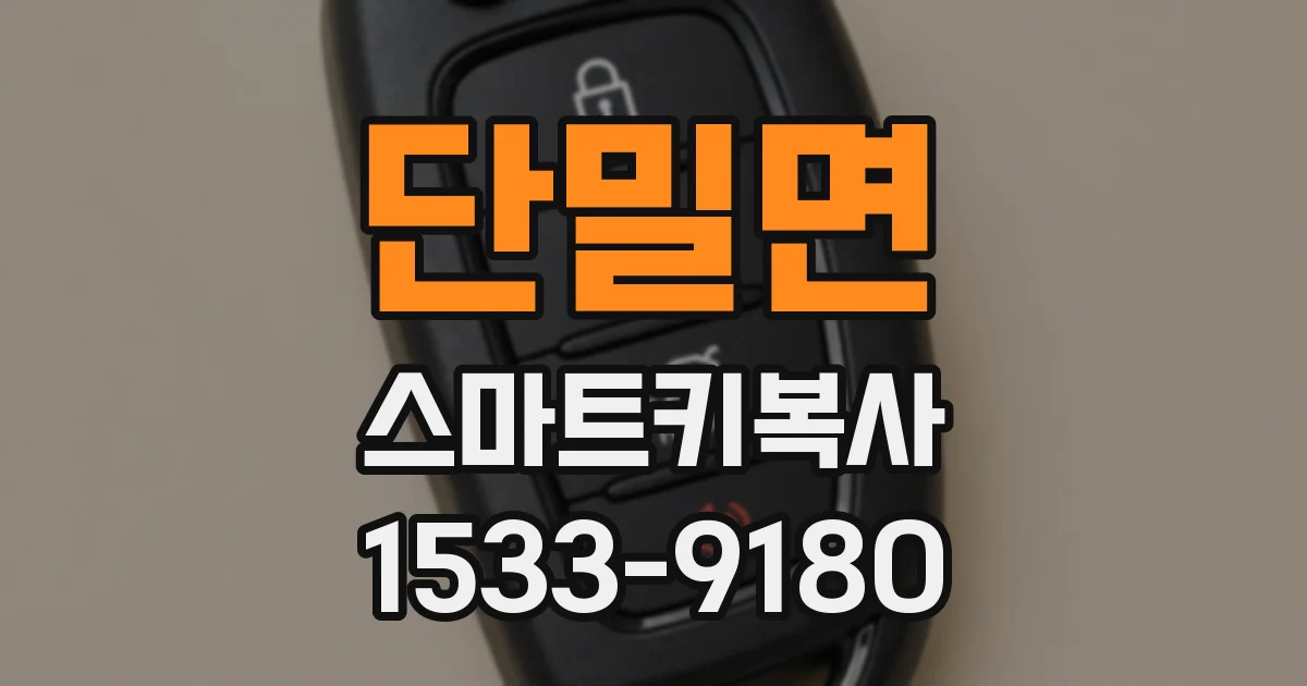 단밀면 스마트키복사