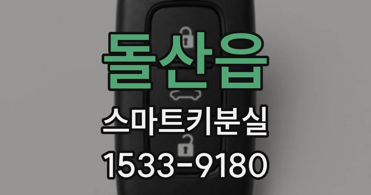 돌산읍 스마트키분실