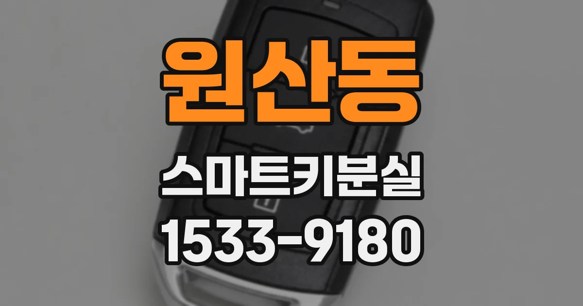 원산동 스마트키분실