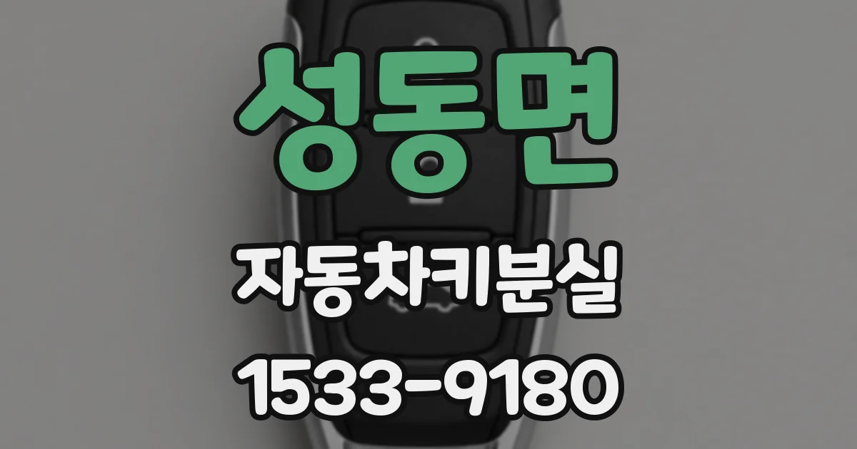 성동면 자동차키분실