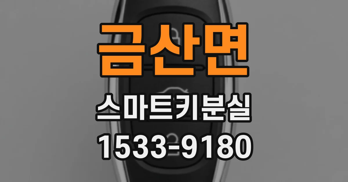 금산면 스마트키분실