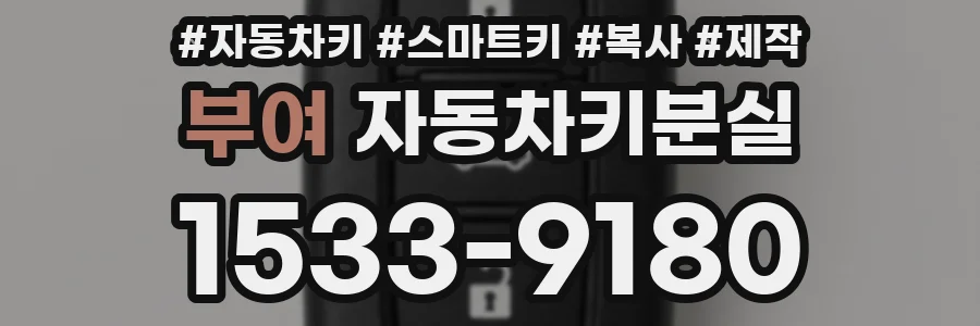 부여 자동차키분실