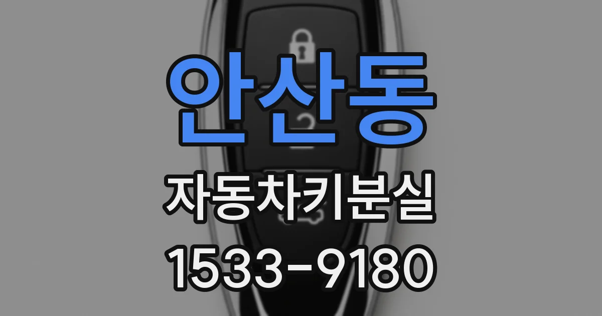 안산동 자동차키분실