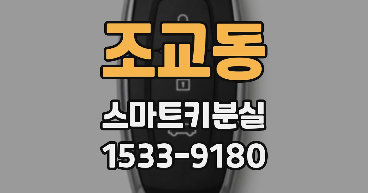 조교동 스마트키분실