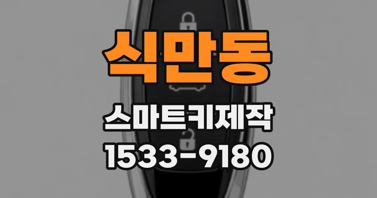 식만동 스마트키제작