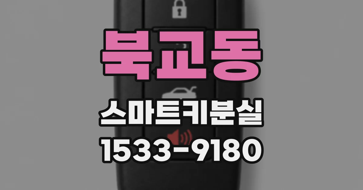 북교동 스마트키분실