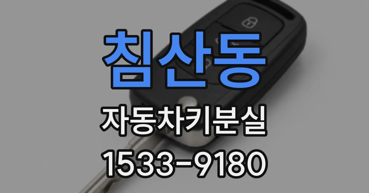 침산동 자동차키분실