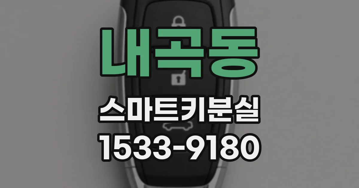 내곡동 스마트키분실