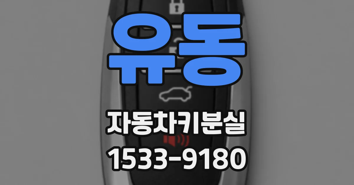 유동 자동차키분실