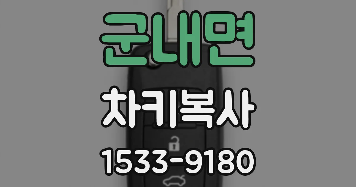 군내면 차키복사