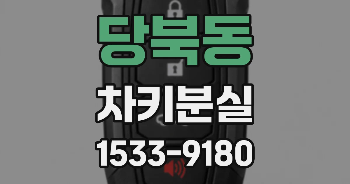 당북동 차키분실