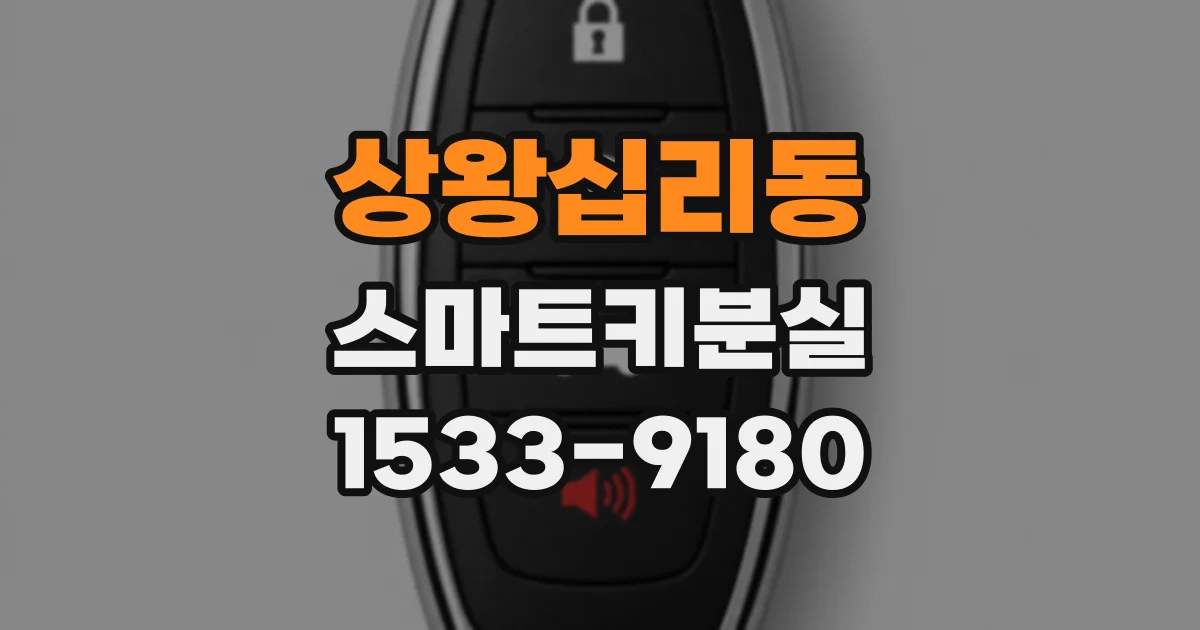 상왕십리동 스마트키분실