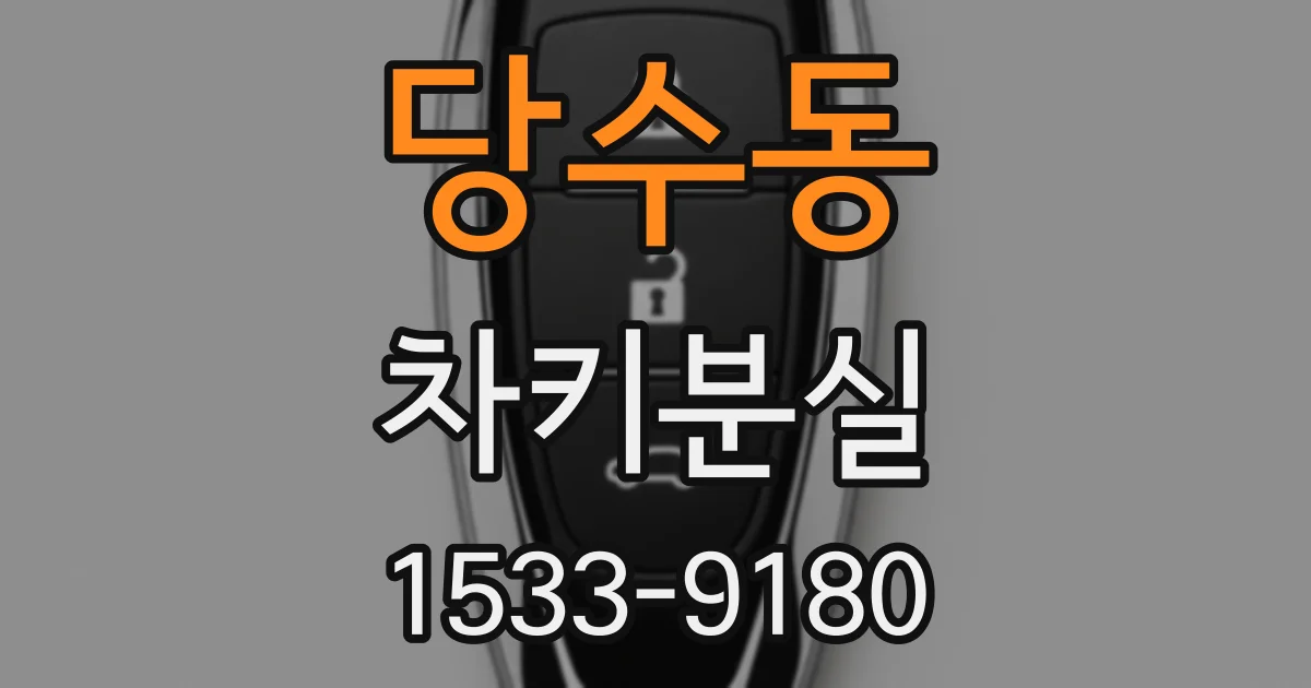 당수동 차키분실