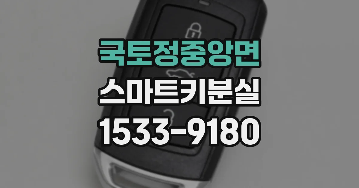 국토정중앙면 스마트키분실