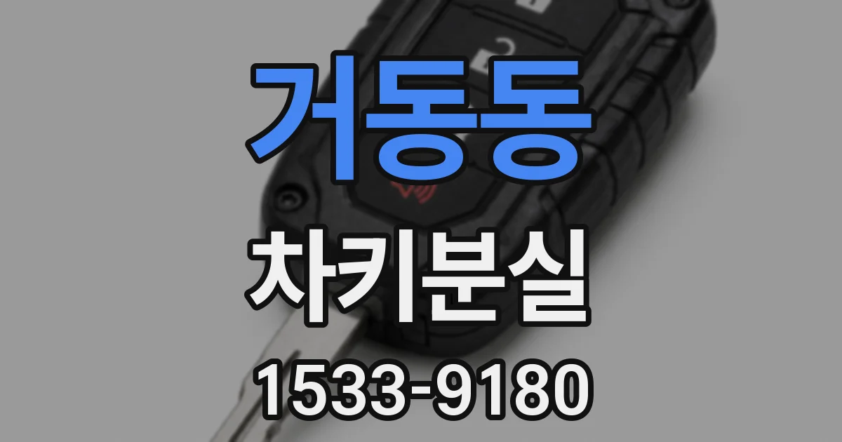 거동동 차키분실