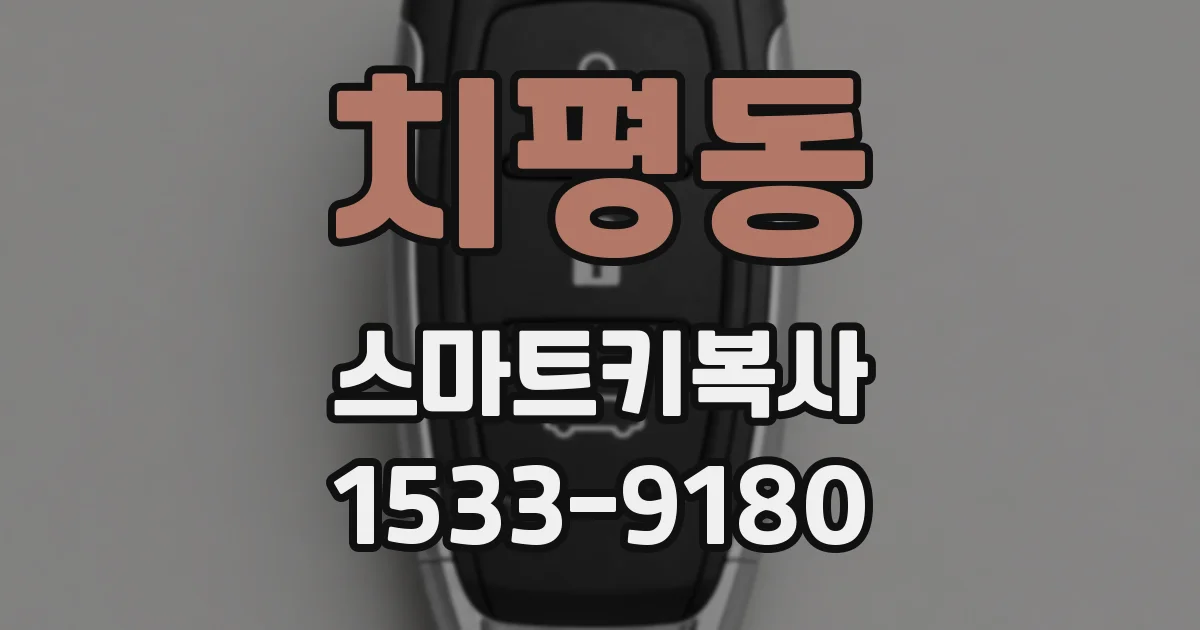 치평동 스마트키복사