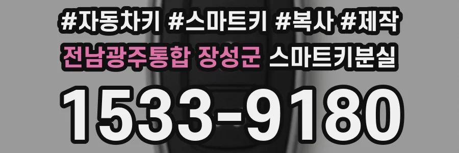 전남광주통합 장성군 스마트키분실
